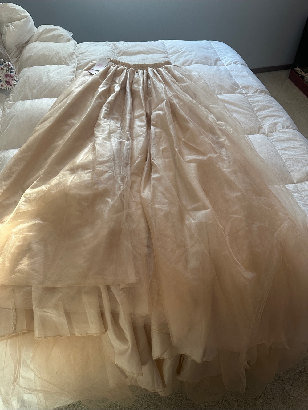 Ethereal Champagne Tulle Skirt with Long Train - Picture 3 of 3